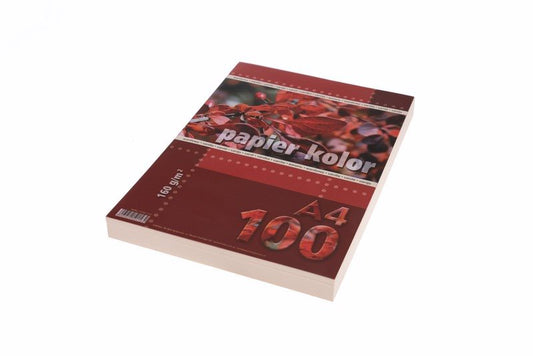 PAPIER KSERO A4 160G A/100 WANILIOWY