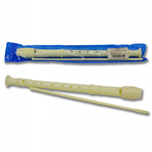 FLET SZKOLNY PROSTY INSTRUMENT MUZYCZNY wycior etui